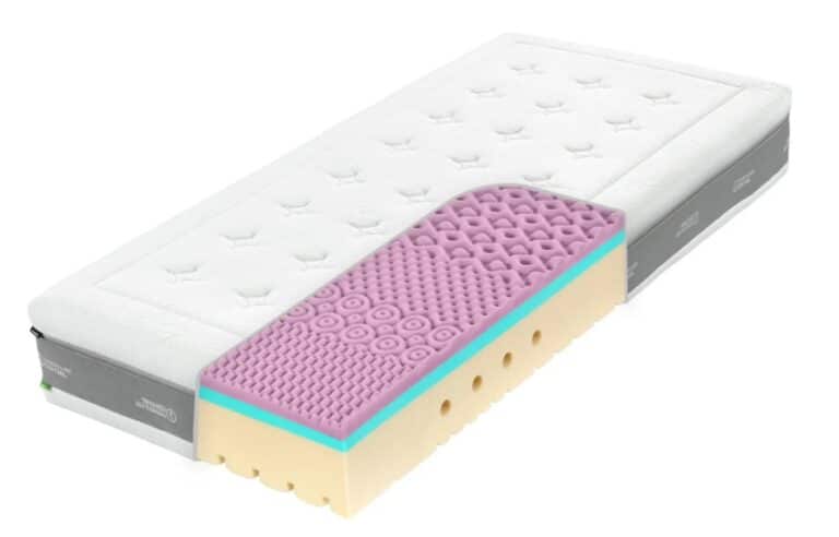 Super Fox Cloud Wellness