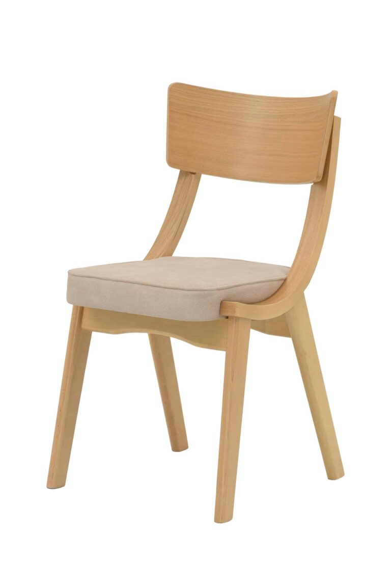 Jídelní  židle Diran v minimalistickém stylu stane nejen praktickým, ale i estetickým doplňkem vašeho interiéru.